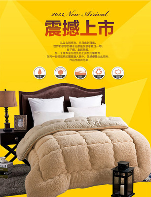 【南通家纺床上用品批发部特价棉被批发羽绒被秋冬被批发生产厂家】价格,厂家,图片,被子、蚕丝被、羽绒被,南通润雪床上用品-